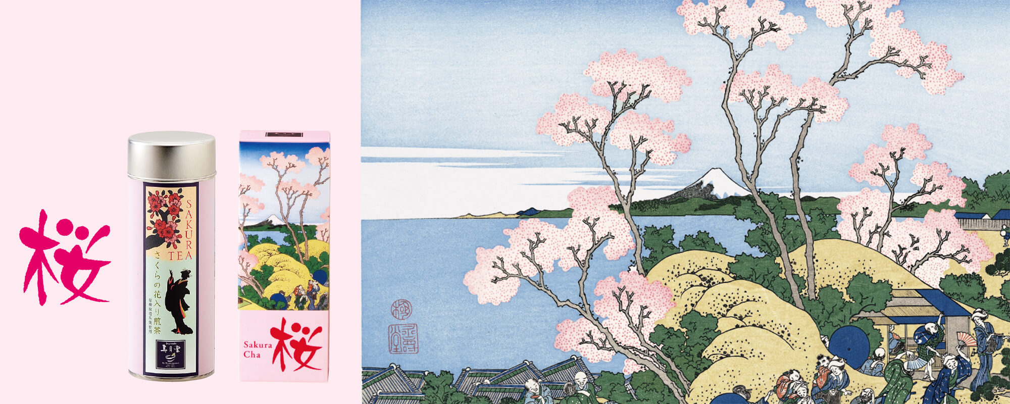 Sakura (cherry blossom) 